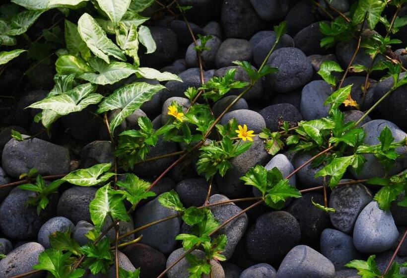 Fotos del hotel The Nest Hotel By Danapati:  10