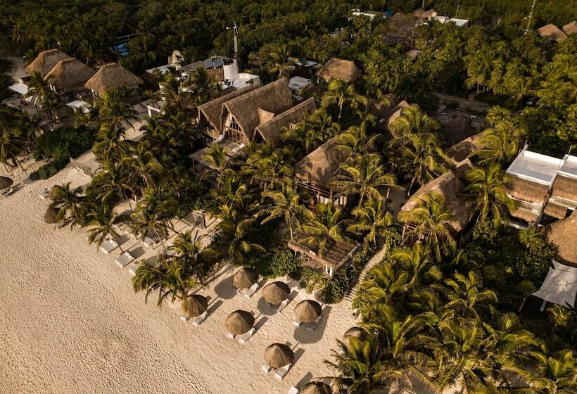 Fotos del hotel Encantada Tulum:  6