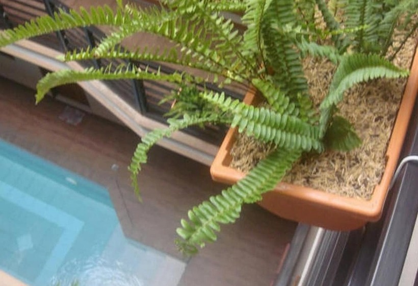 Fotos del hotel Hidden Pearl Hotel (janus Luxury Suites):  25