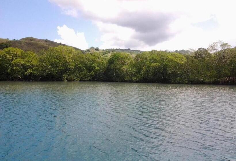 Fotos del hotel L Bajo:  8