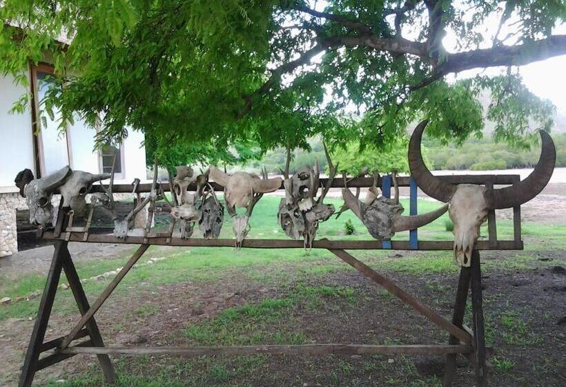 Fotos del hotel L Bajo:  9