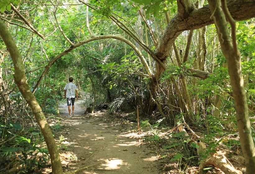 Fotos del hotel Nata Beach Villa:  9