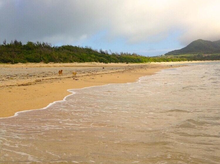 Fotos del hotel Nata Beach Villa:  10