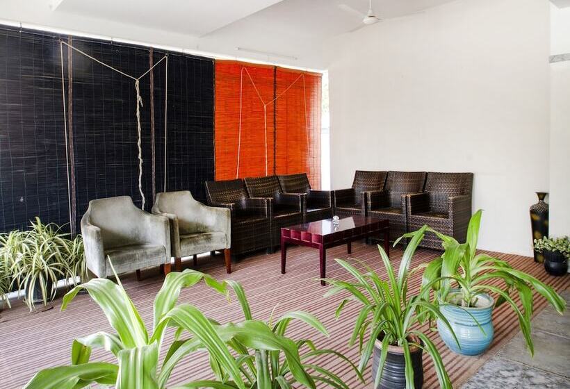 Fotos del hotel Blue Dawn:  4