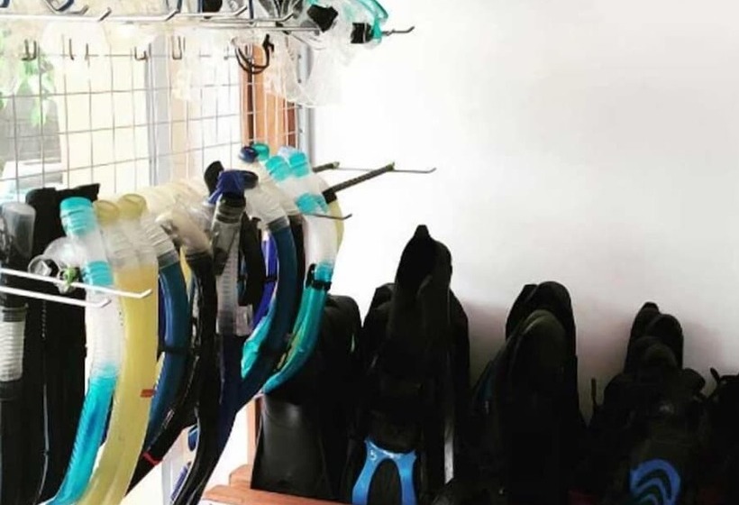 Fotos del hotel Komodo Lodge:  14