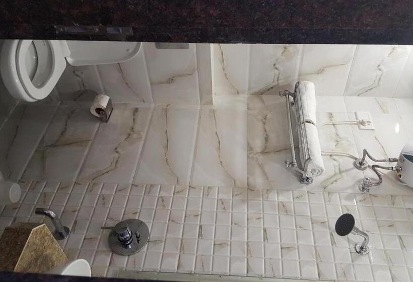 Fotos del hotel Sanjary Palace:  4