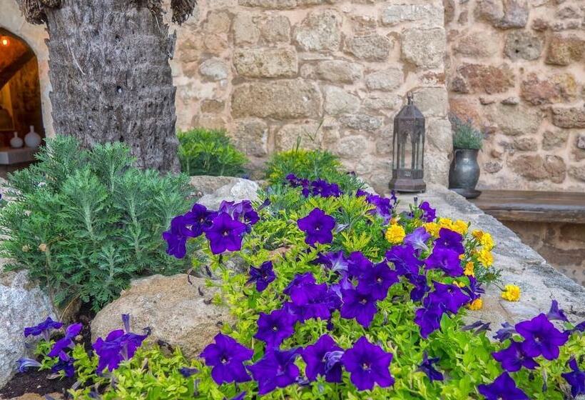 Fotos del hotel Trinity Boutique:  9