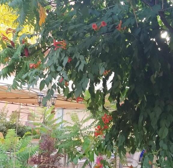 Fotos del hotel Shipka Beach:  9