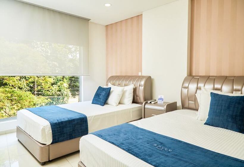 Fotos del hotel Solev:  14