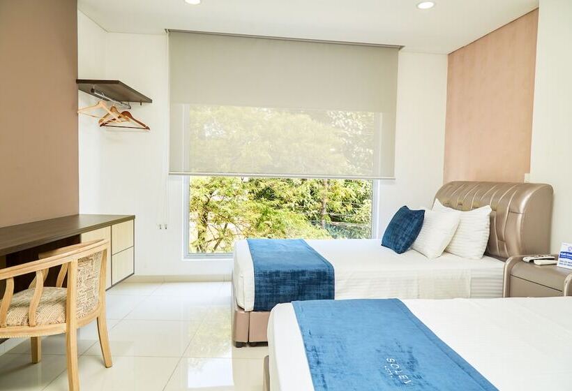 Fotos del hotel Solev:  10