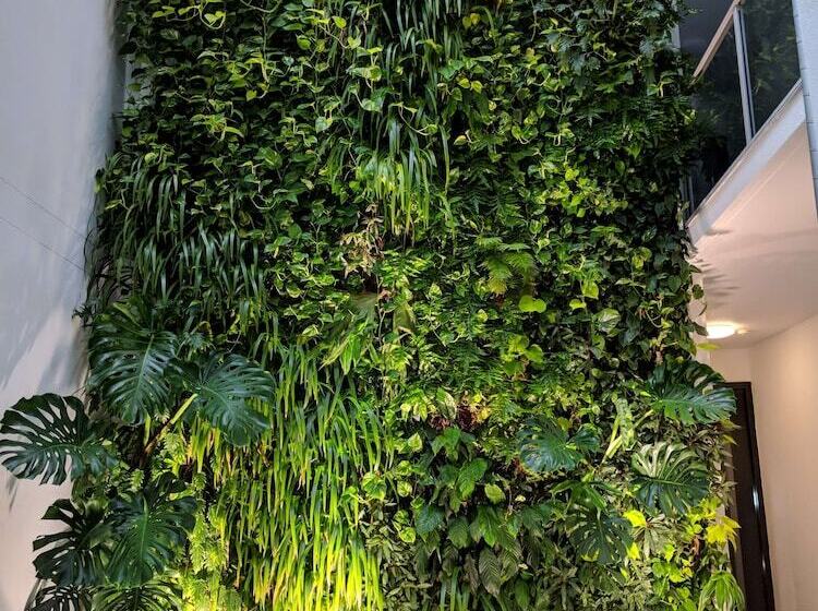 Fotos del hotel Sage Hotel James Street:  8