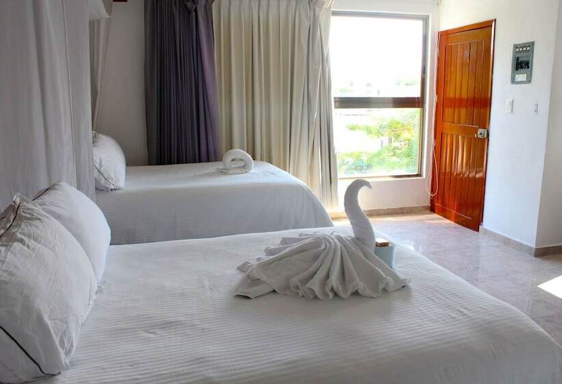 Fotos del hotel San Vicente:  9