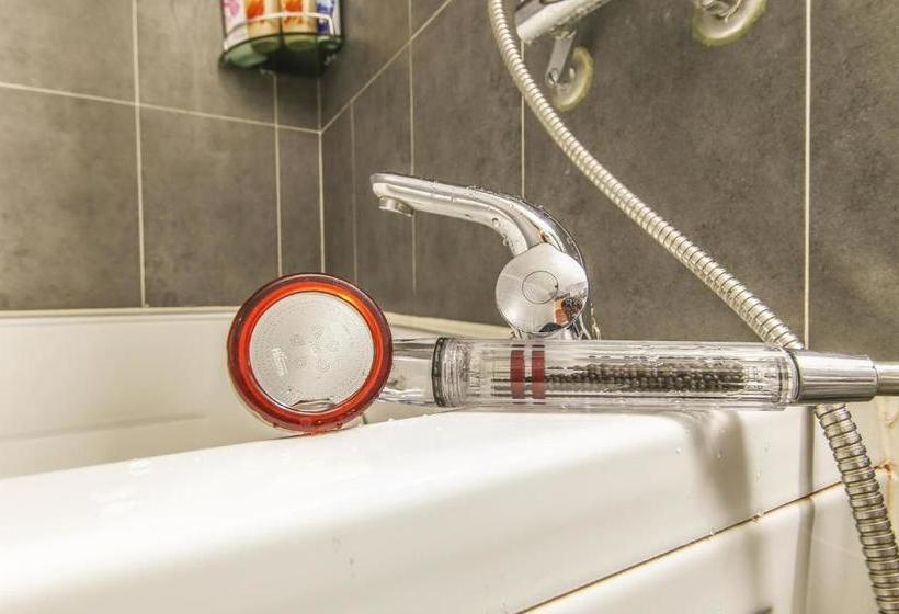 Fotos del hotel Richi:  4