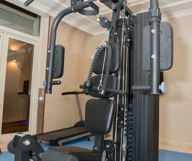 Fotos del hotel Suite Inn Hotel Riyadh:  6