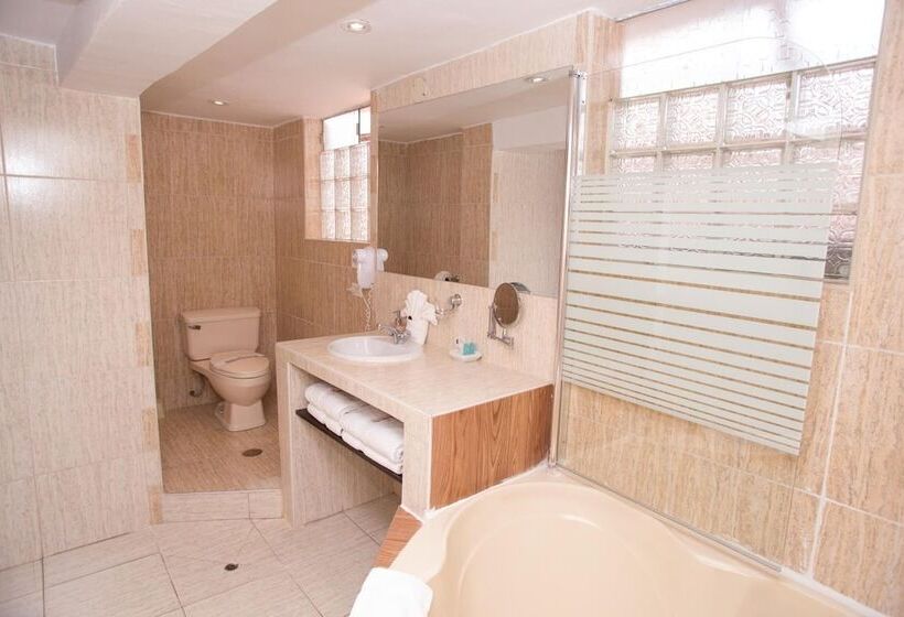 Fotos del hotel Arcangel:  14