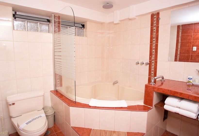 Fotos del hotel Arcangel:  6