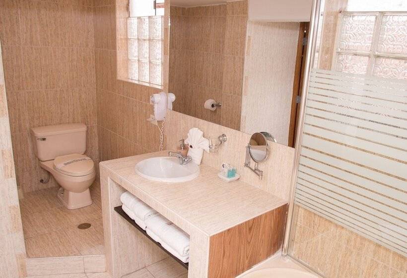 Fotos del hotel Arcangel:  17