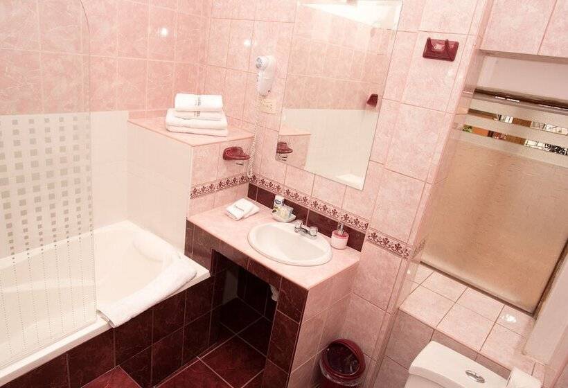 Fotos del hotel Arcangel:  16