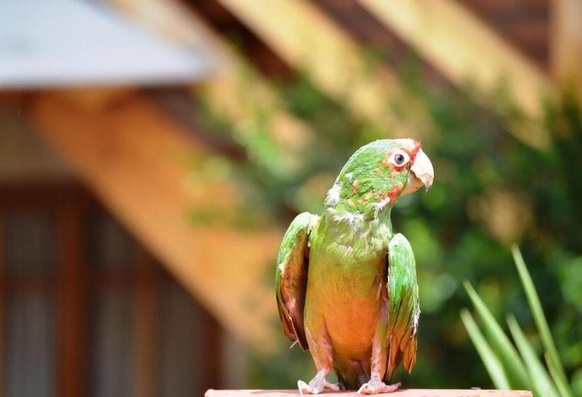 Fotos del hotel Casona La Recoleta:  5
