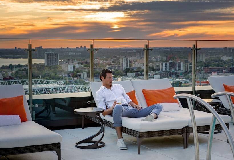 Fotos del hotel X Toronto By Library  Collection:  11