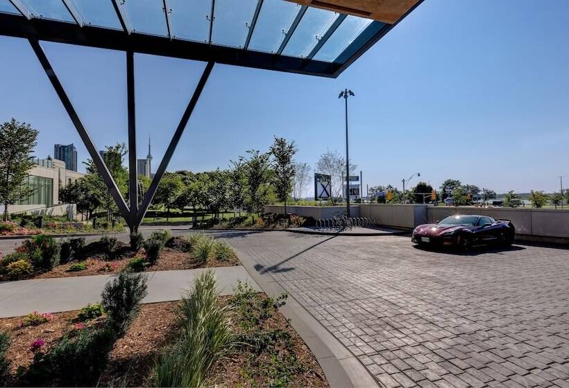 Fotos del hotel X Toronto By Library  Collection:  15