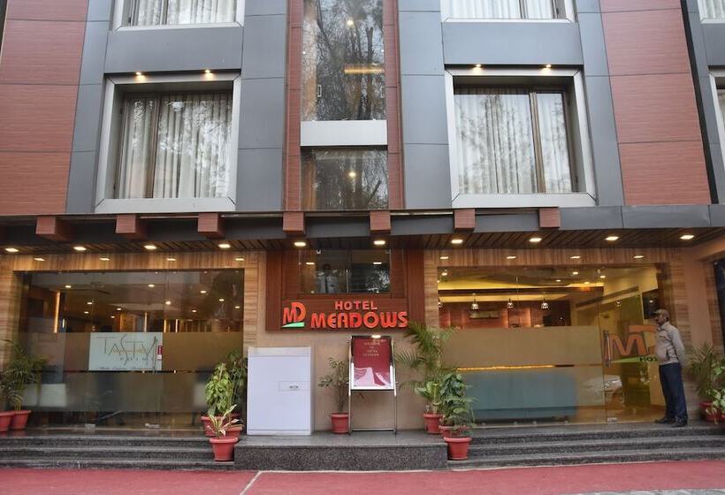 Fotos del hotel Meadows:  13