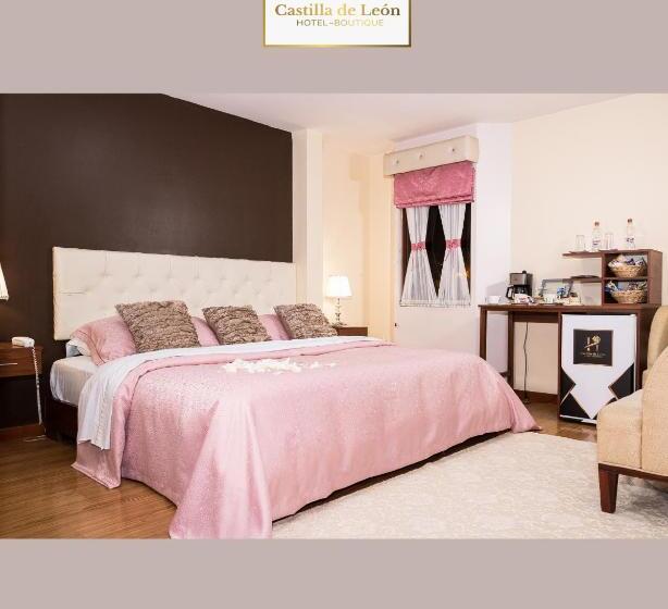 Fotos del hotel Boutique Castilla De Léon:  5