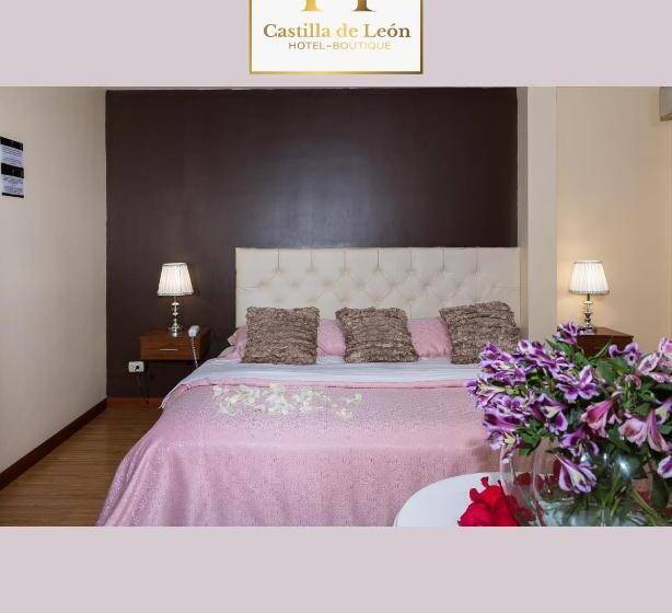 Fotos del hotel Boutique Castilla De Léon:  7