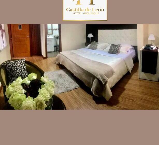 Fotos del hotel Boutique Castilla De Léon:  9