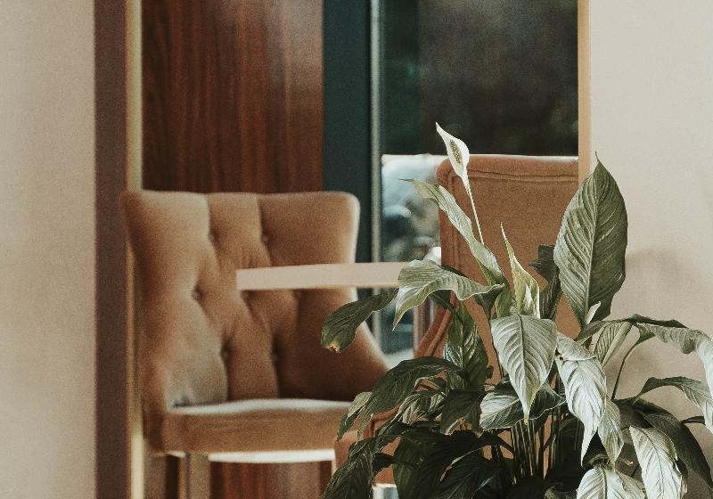 Fotos del hotel New:  3