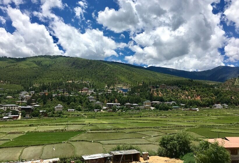 Fotos del hotel Khamsum:  7