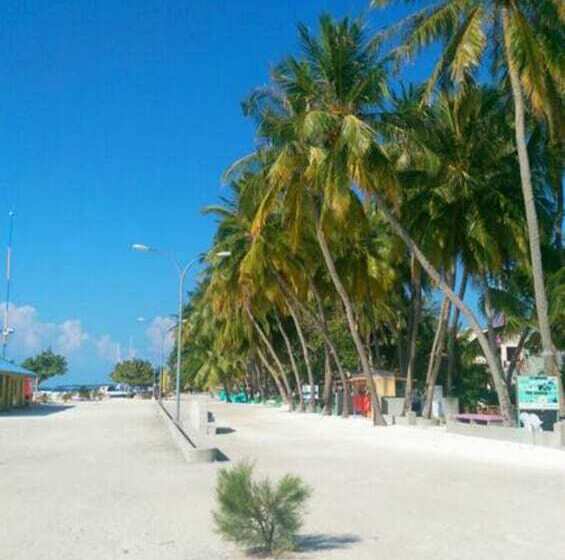 Fotos del hotel Alaka At Maafushi:  8
