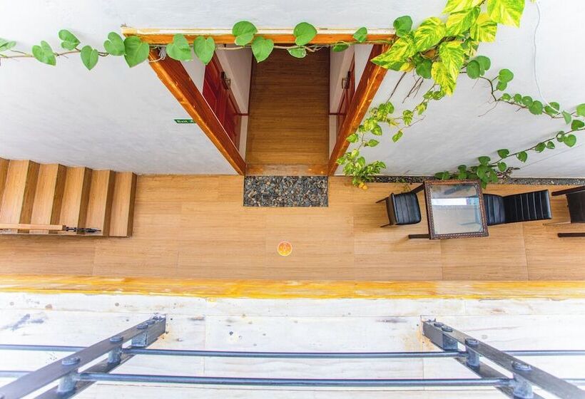 Fotos del hotel Alaka At Maafushi:  5