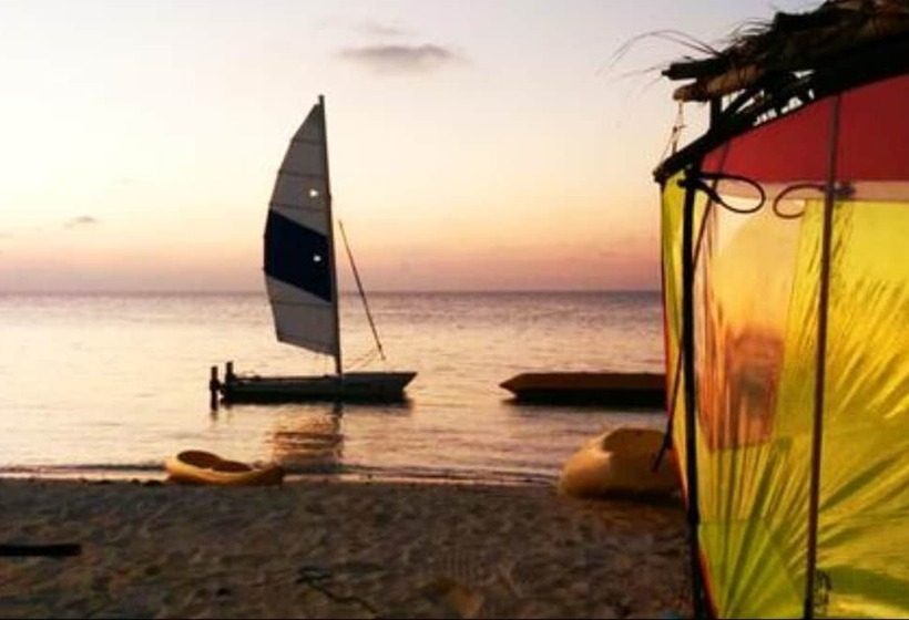 Fotos del hotel Alaka At Maafushi:  18