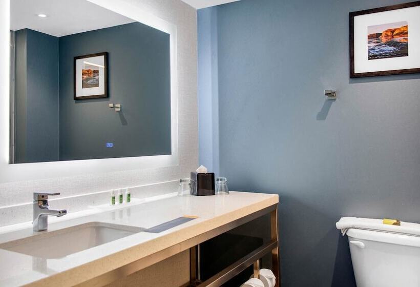 Fotos del hotel Cambria Hotel Phoenix- North Scottsdale:  17