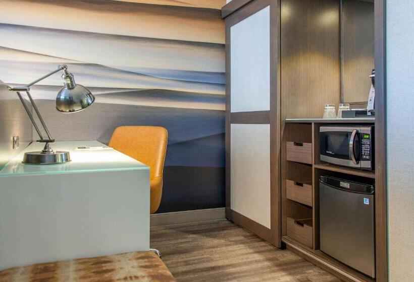 Fotos del hotel Cambria Hotel Phoenix- North Scottsdale:  12