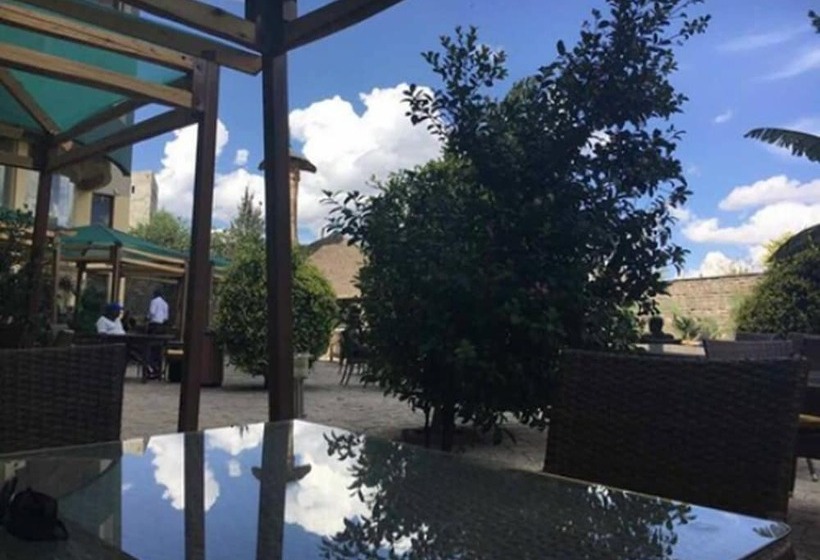 Fotos del hotel Nega Bonger:  8