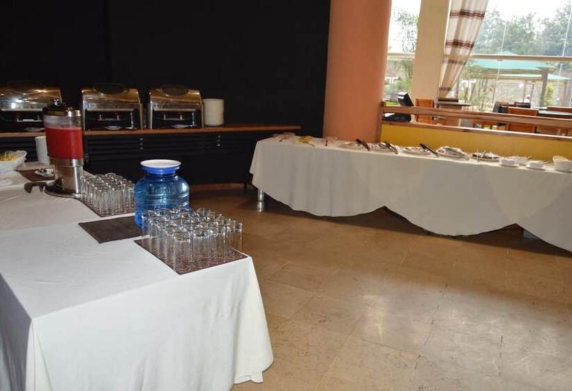 Fotos del hotel Nega Bonger:  15