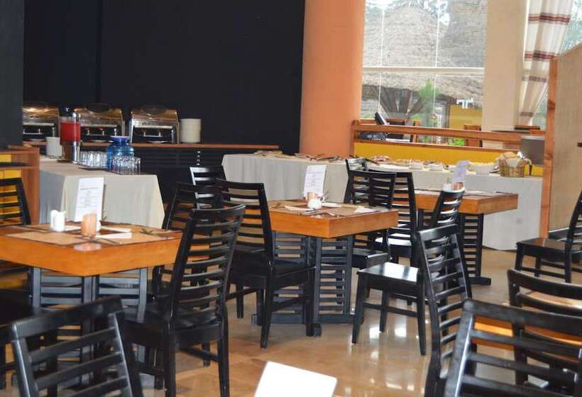 Fotos del hotel Nega Bonger:  11