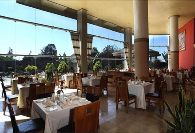 Fotos del hotel Nega Bonger:  14