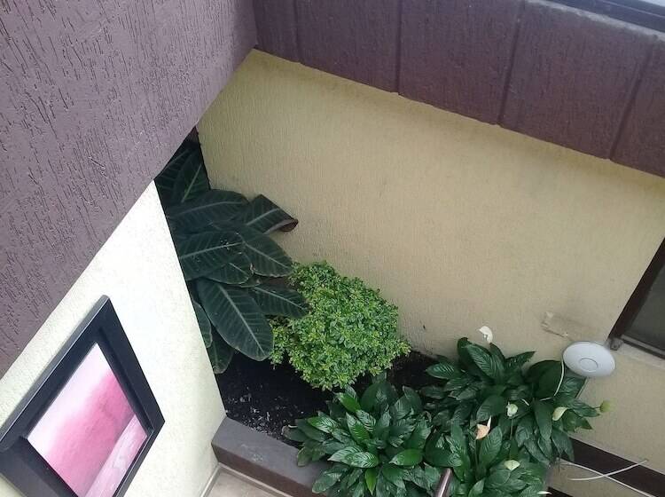 Fotos del hotel Ayenda 1087 La Estación:  19