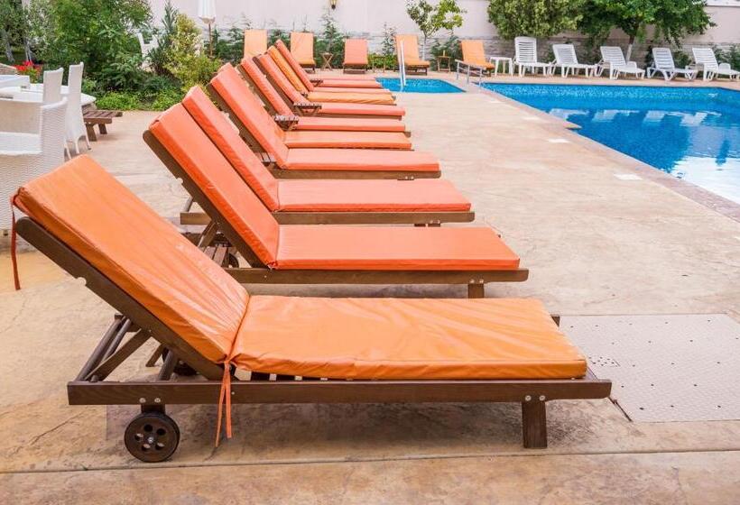 Fotos del hotel Central:  16