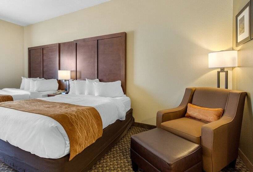 Fotos del hotel Comfort Inn & Suites Sw Houston Sugarland:  2