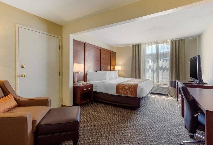 Fotos del hotel Comfort Inn & Suites Sw Houston Sugarland:  10