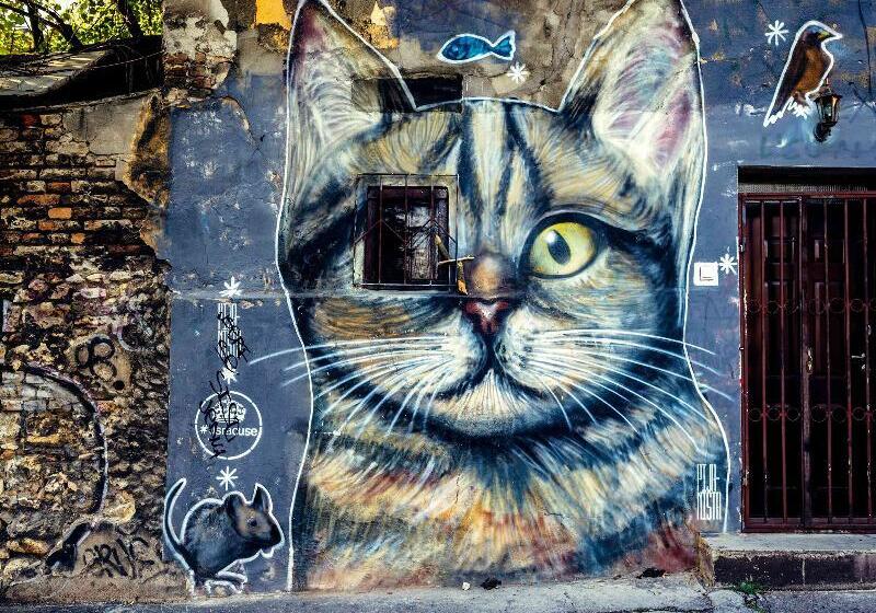 Fotos del hotel Mama Shelter Belgrade:  7