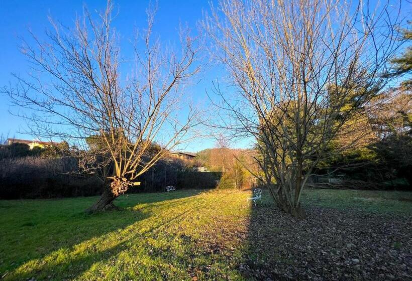 Fotos del hotel Rossovino Como:  8