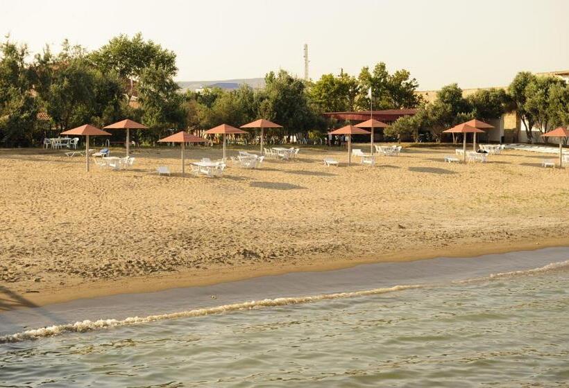 Fotos del hotel Mavi Dalga:  14