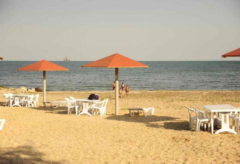 Fotos del hotel Mavi Dalga:  15