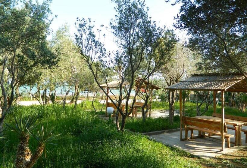 Fotos del hotel Mavi Dalga:  17