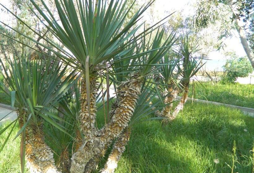 Fotos del hotel Mavi Dalga:  18